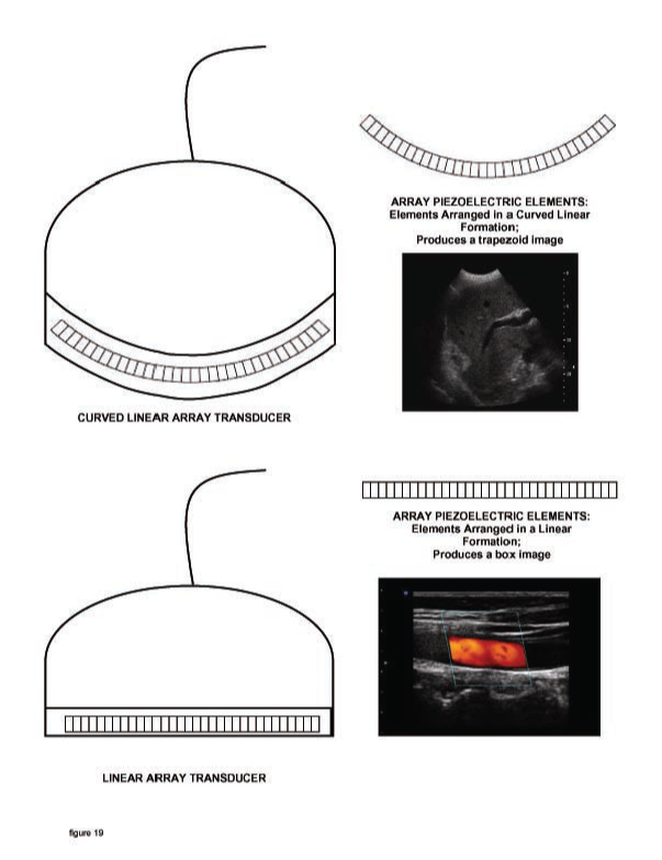 Figure 19 wo caption