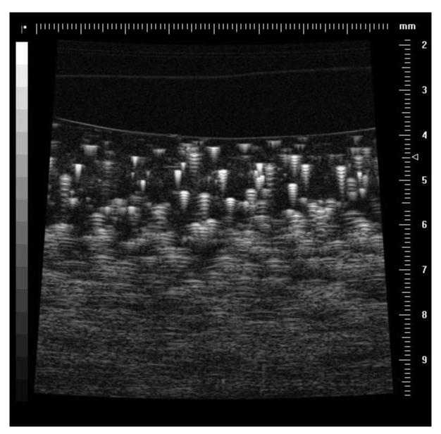 Figure 23 wo caption