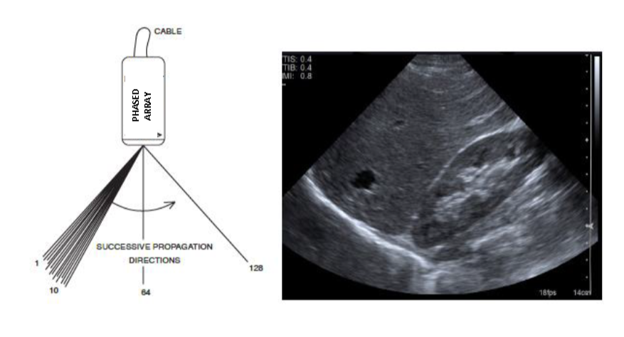 Figure 29 wo caption