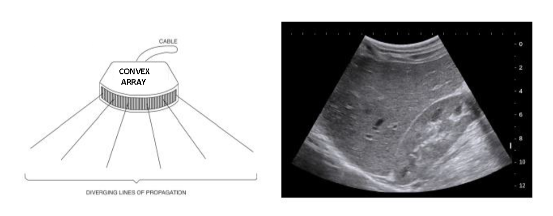 Figure 30 wo caption