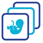 Journal icon