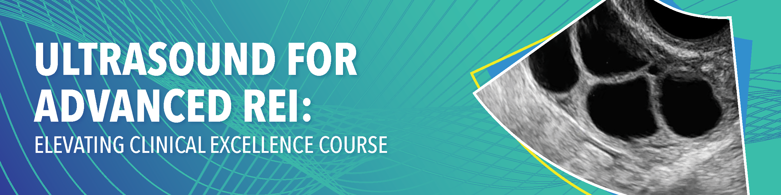 REI_Course_Graphics_2026_partners