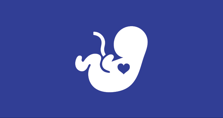 fetal